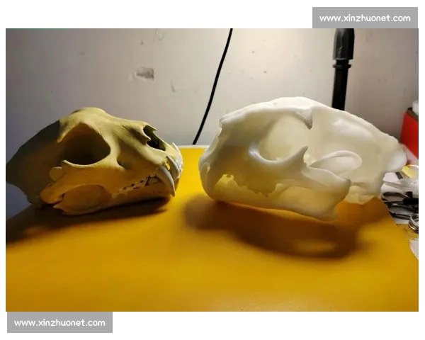 美洲狮与雪豹巅峰对决力量速度生存智慧的野性王者之争终极较量