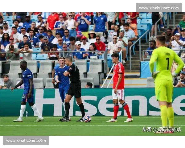 美国队与塞尔维亚强强对话聚焦巅峰对决悬念之战胜负走向引发全球关注